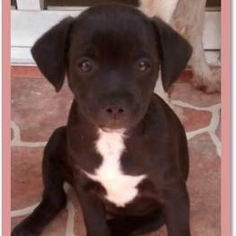 D 3ada2167 732c 4688 8d06 a40acc2f1390