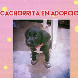 D 39150518 c7e8 4343 8240 c636d26a4b0c