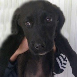 D 0bbcf0cc 559b 458d 8e74 b81e9044b89a