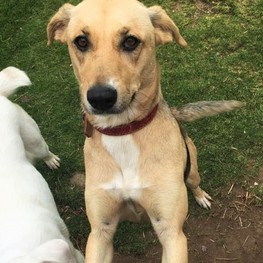 D 2c354f64 7324 40e7 aabe 1671a417566e