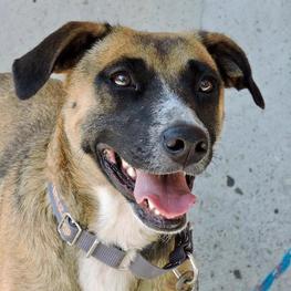 D daf12739 434b 431f a867 0f2304be63cf