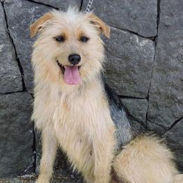 D b2b4d70f 4d35 4a19 8622 b70dab0fcdb0