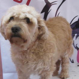 D 7bf917b3 a054 483a 892d 5d8f2941dd5e