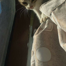 D e3fc509d 7ca8 4675 bf5c 1f9c3a4fe308