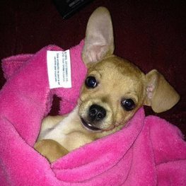 D 78ddcfbc f35f 4b59 a396 a5cd566f5e9d