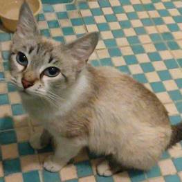 D cd8b6280 965e 4774 a0f5 3f6ba575e783