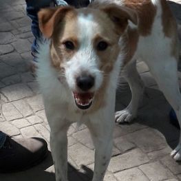 D aba6281b 0a24 4db9 ac91 c6bfb21502b0