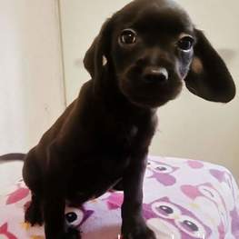 D 06182b37 5a21 4a3d b7c8 a44ef70fd2be