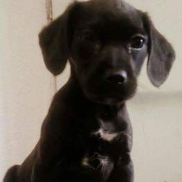 D d3e5c7a5 f9ac 439a 8e44 6b372cfa004a