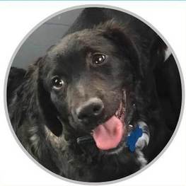 D cb1202a5 ddbc 445d a702 8db04ed10fb6