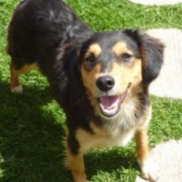 D 7a0a501f 47f2 42f5 a0ba 47ac4f6ab32f