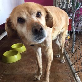 D 0a988b7f 236f 426d 8701 cb63f15bd4f3