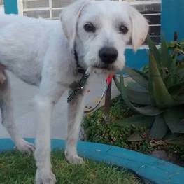 D cb42dfd8 6e9d 49bd 8baa 90a5590679bf