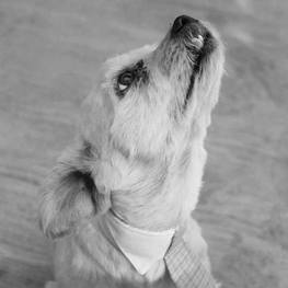 D 559a8499 af77 41f1 bc91 f74a218ec8c9