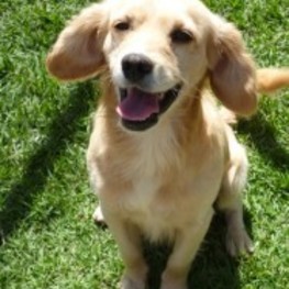 D 64a53fab c5fc 4b4f 98cf bd793fcf9c33