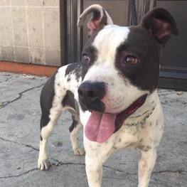 D a2a34ba9 3f49 4bbb 891d 1f463cc1b397