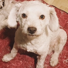 D 2bcc23ac 9a90 41a6 a33b 347319148f5d