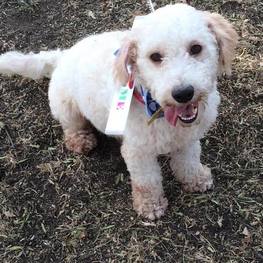 D f789e2b7 363d 4ea5 94a2 f5cc0c9c7b13