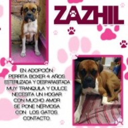 D efcc7144 4b75 4c73 a1f0 7899b1964430