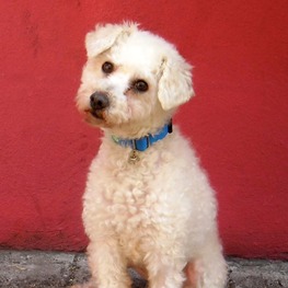 D c5a62c53 d441 4bb6 a7fa 4e9e3a65b088