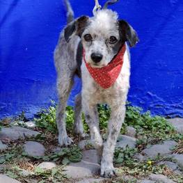 D e05be9dd 917f 4f63 876e 2967b005f906