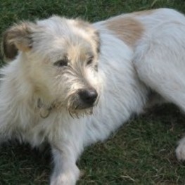 D fc85b8fa b8ee 4072 ab1e 8a280a9252d0