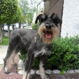 D c1c4f8a1 e071 4103 bbf9 cf4070700f07