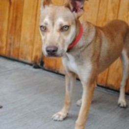 D acdec026 81f7 4613 a6f9 08a2155d2f8d