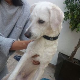 D 8f0358e4 8756 4f40 8a5a debf467bcb21