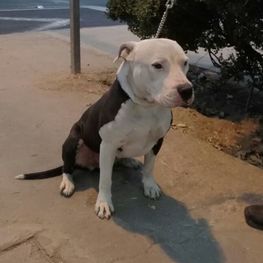 D 28a7f6d1 901a 4ba0 aa12 6edc71bc72e6