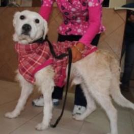 D b95dd765 1f33 4f17 8f5f def702e6c394