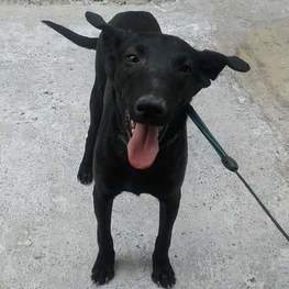 D f7869656 0d2e 4bd9 b8a3 536d204eb6a0