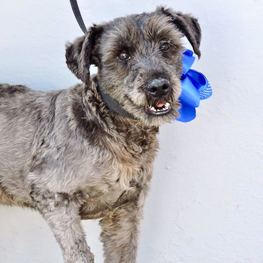 D ba5a850d 51ee 491b 8ae4 2a6834e5fc9e