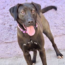 D 9d14de6d 5854 429e 98d2 9d97200ab542