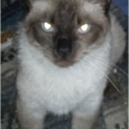 D 2369de1c 3203 411b 8345 3680579a97a7