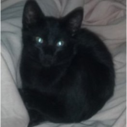 D 7302f06e d087 4cdf 9dda f0e7f9802686