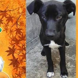 D 428efb62 939f 4df0 bbaa e2964574e281