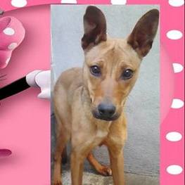 D 55904956 04be 461d b621 bdb5b866962e