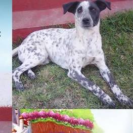 D 4830152d 253b 4002 a931 7546e03b2e01