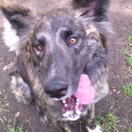 D 68f8a80d fba5 4576 9878 355fa5c682df