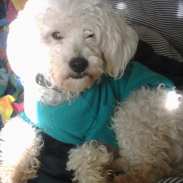 D bef6eebc 13a5 49b6 87d0 f87600f53581