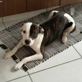 D f0cb33a7 4a99 479b a19d 43fbf13a0f92