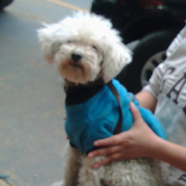 D a09c2641 8881 4e2d ad42 e7b789f287e5