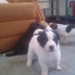 D 637dae9b 2567 445d a4cf 3ff0896955b6