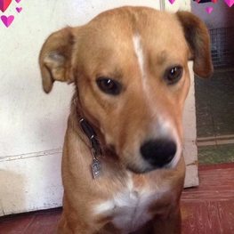 D 0e647400 ea4a 470c a58a bc756e85c0f5