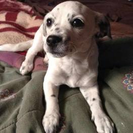 D 1e91fa95 d3d3 42dc b40b cfb2577536a2