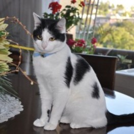 D 7c4123c4 fca7 4ceb a3ed 2ac22d703185