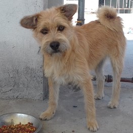 D 2cb2d08c e7a1 4980 b5f8 c7138abc7f98