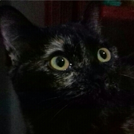 D 98ae0f45 83ba 4487 8e6d a6450823438d