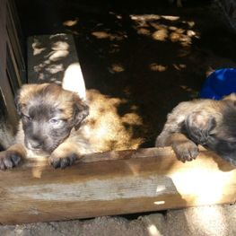 D 2d0937dc a304 4f4c b9c6 a8d37373fed4